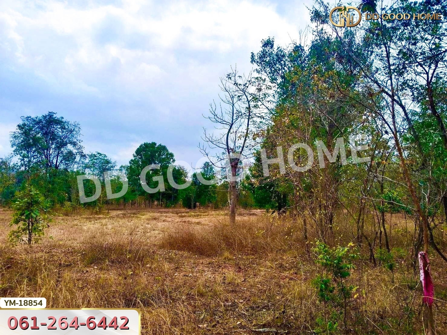 ที่ดิน อ.เมืองลำปาง 13 ไร่ 374 ตร.ว. ลำปาง