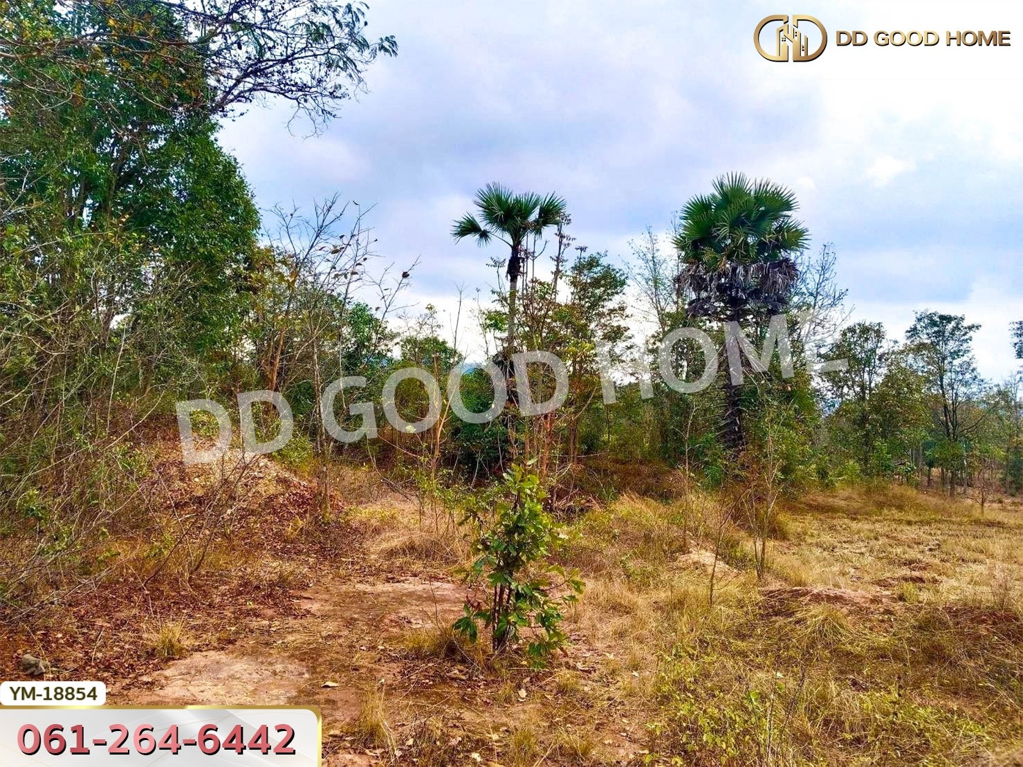 ที่ดิน อ.เมืองลำปาง 13 ไร่ 374 ตร.ว. ลำปาง