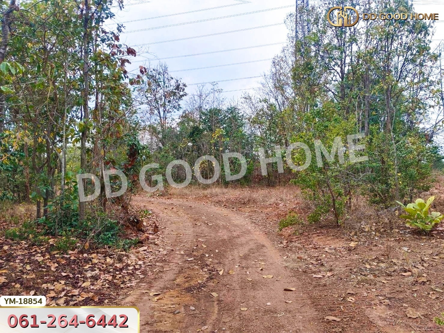 ที่ดิน อ.เมืองลำปาง 13 ไร่ 374 ตร.ว. ลำปาง