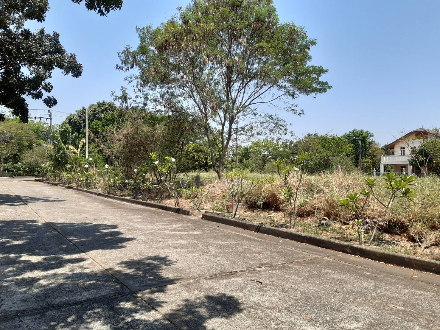 ขายที่ดินเปล่า 84 ตรว. หมู่บ้านชัยพฤกษ์ บางบัวทอง นนทบุรี