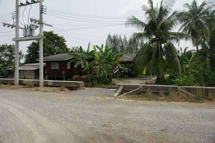 ขายที่ดิน 15 ไร่ ซอยสุจินอุทิศ ท่าไม้ กระทุ่มแบน สมุทรสาคร