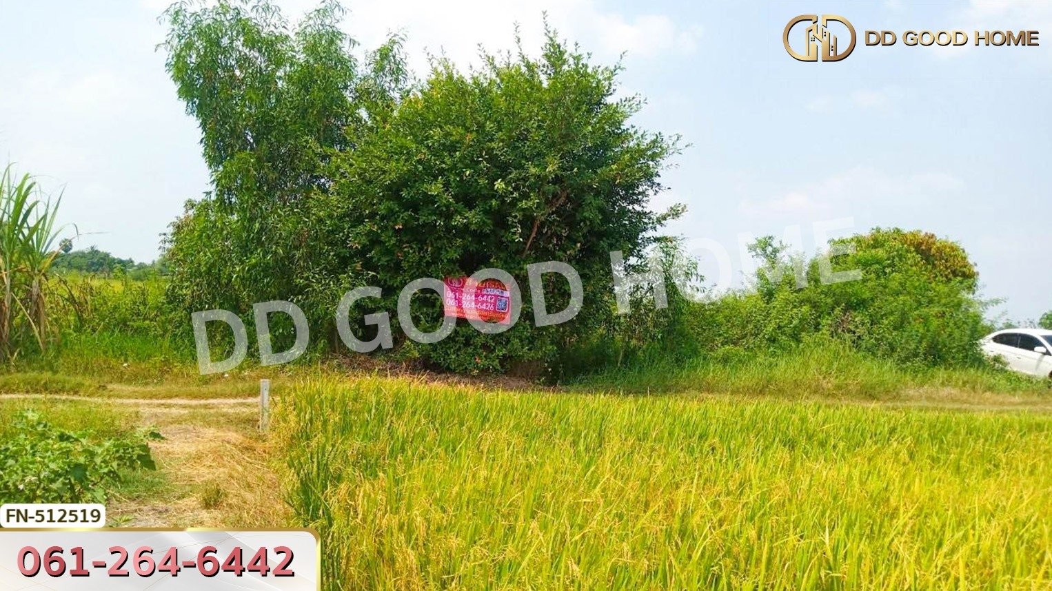 ที่ดิน อ.ลาดบัวหลวง 221 ตร.ว. พระนครศรีอยุธยา