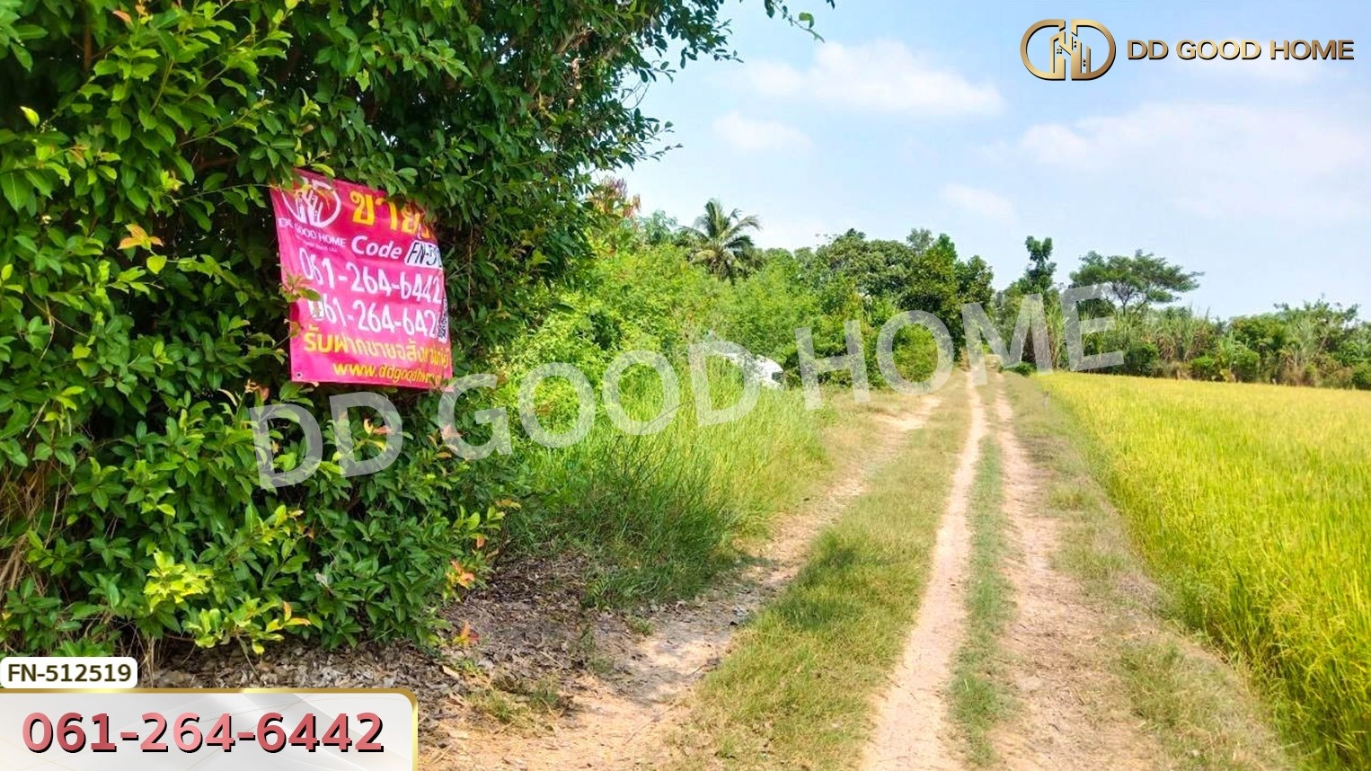 ที่ดิน อ.ลาดบัวหลวง 221 ตร.ว. พระนครศรีอยุธยา