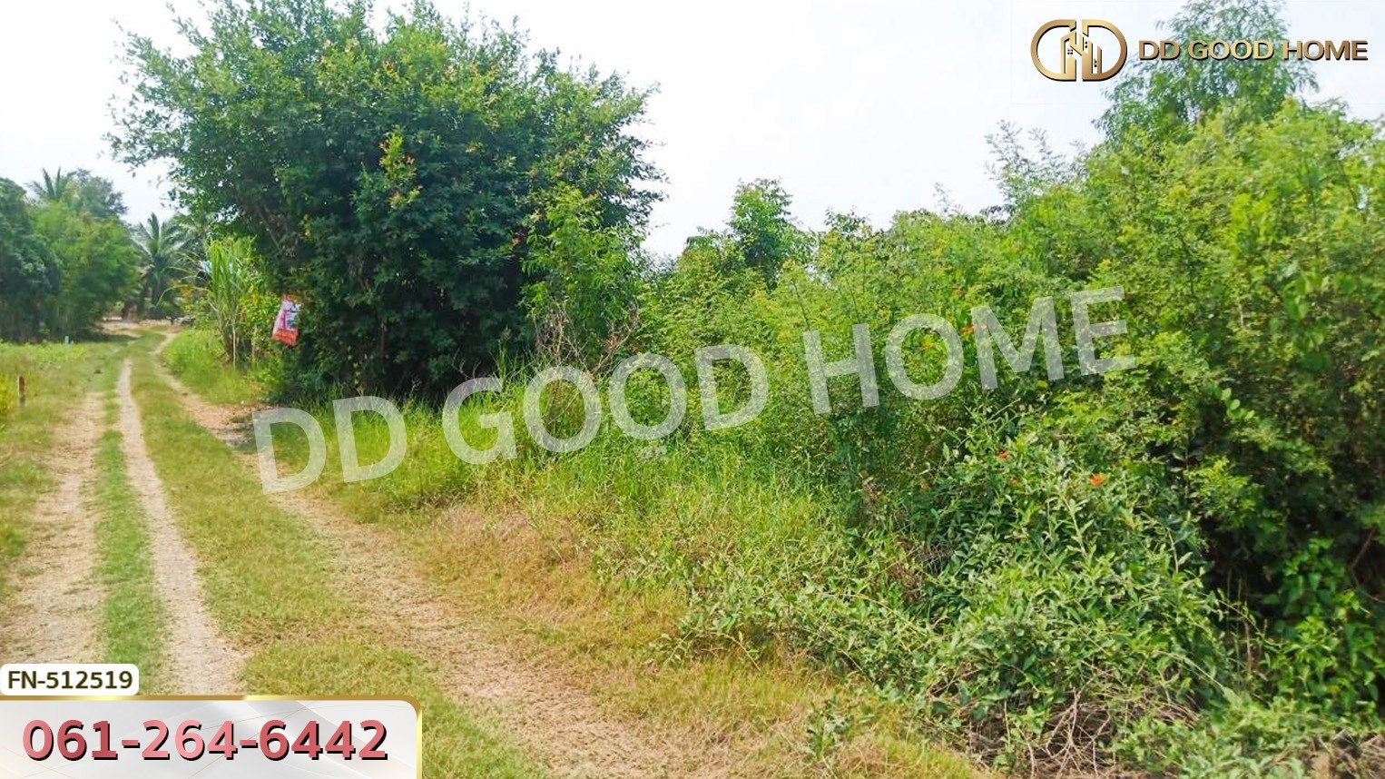 ที่ดิน อ.ลาดบัวหลวง 221 ตร.ว. พระนครศรีอยุธยา