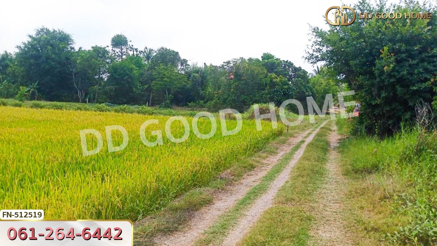 ที่ดิน อ.ลาดบัวหลวง 221 ตร.ว. พระนครศรีอยุธยา
