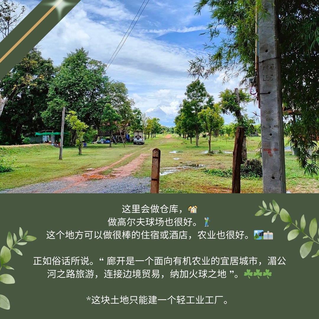 ขายที่ดินหนองคายโซนสีเขียวอ่อน เจ้าของขายเองติดถนนใหญ่  เหมาะสำหรับนักลงทุนเก็งกำไร  จังหวัดหนองคาย