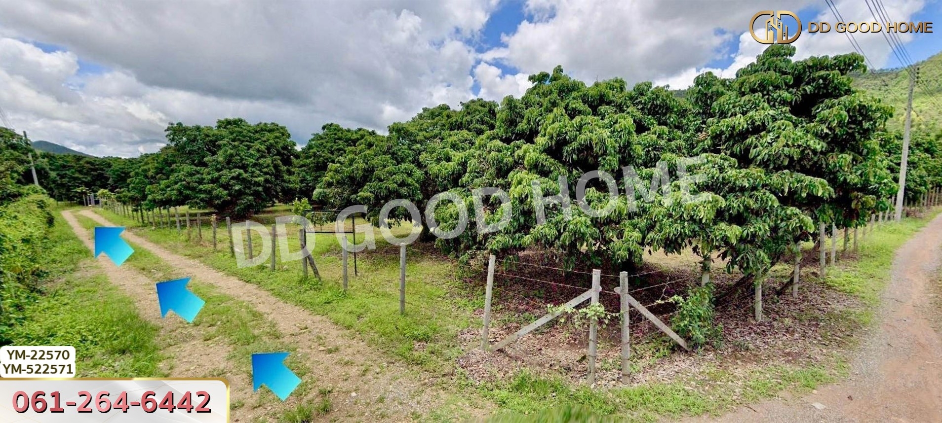 ที่ดิน อ.เมืองลำพูน 28 ไร่ 301 ตร.ว. ลำพูน