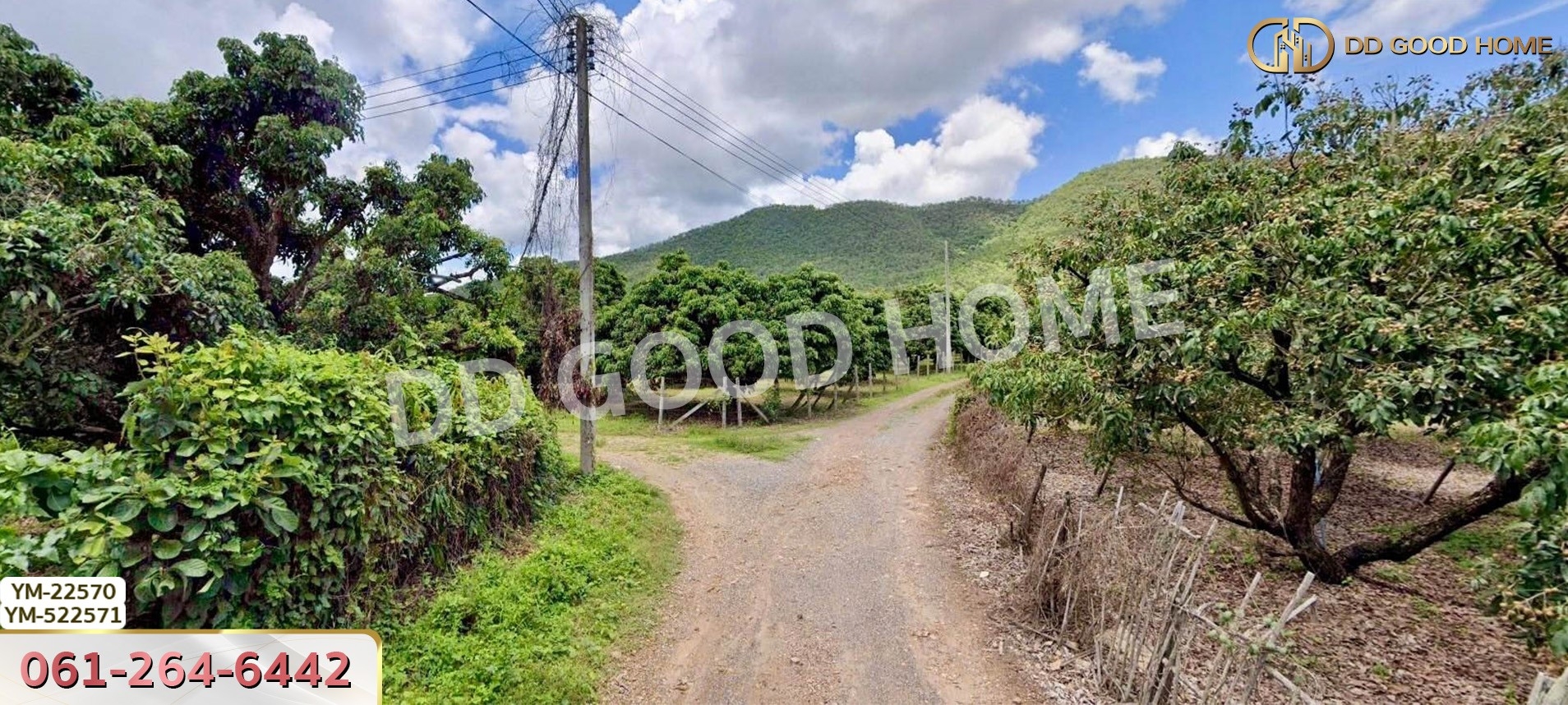 ที่ดิน อ.เมืองลำพูน 28 ไร่ 301 ตร.ว. ลำพูน