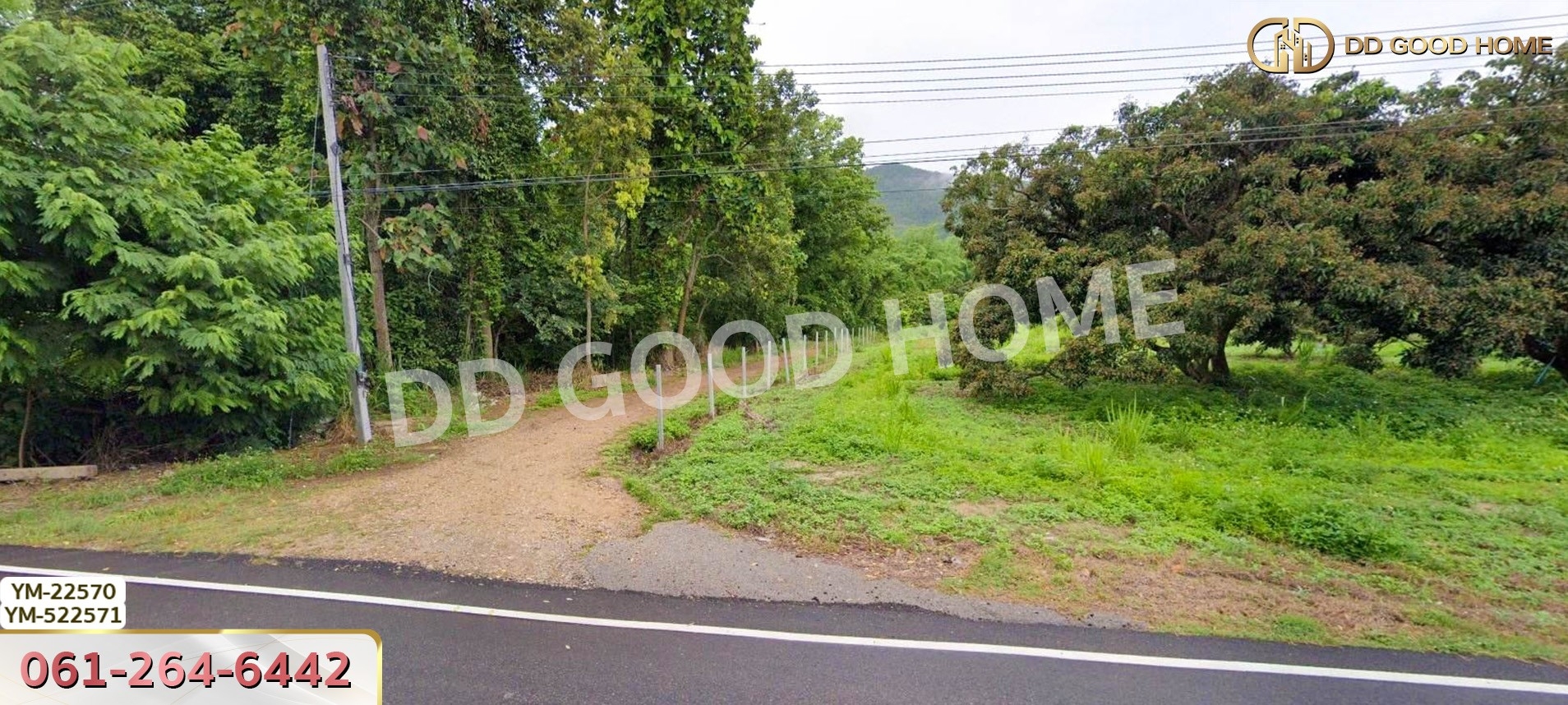 ที่ดิน อ.เมืองลำพูน 28 ไร่ 301 ตร.ว. ลำพูน