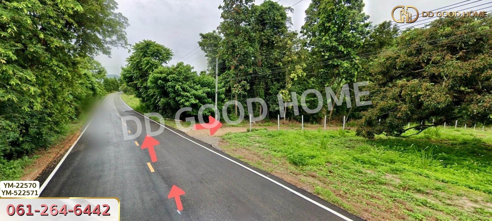 ที่ดิน อ.เมืองลำพูน 28 ไร่ 301 ตร.ว. ลำพูน