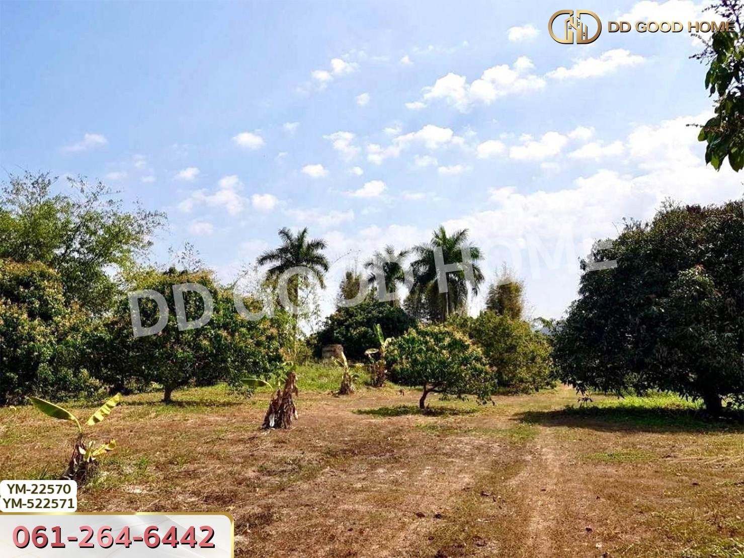 ที่ดิน อ.เมืองลำพูน 28 ไร่ 301 ตร.ว. ลำพูน