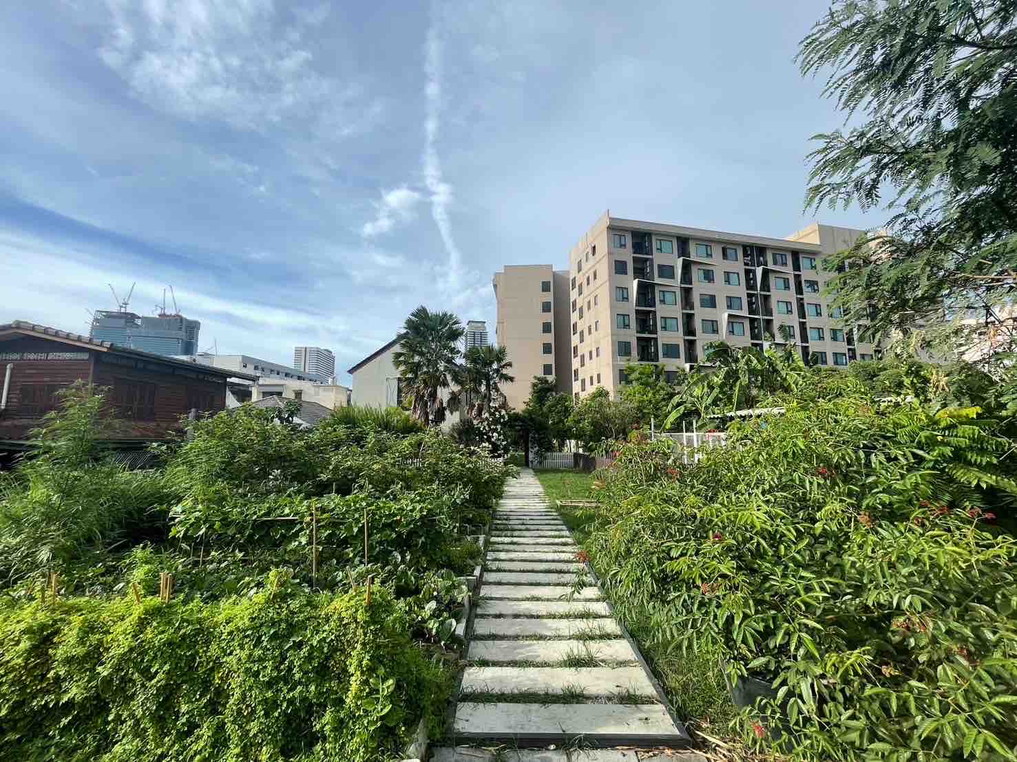 ขายที่ดิน 381 ตรว ถนนเย็นอากาศ