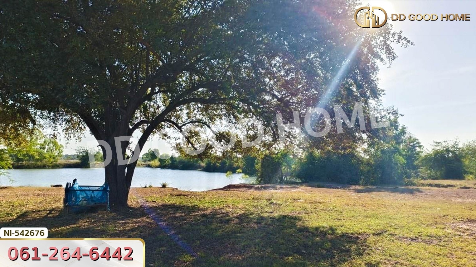ที่ดิน อ.ประทาย 19 ไร่ 78 ตร.ว. นครราชสีมา