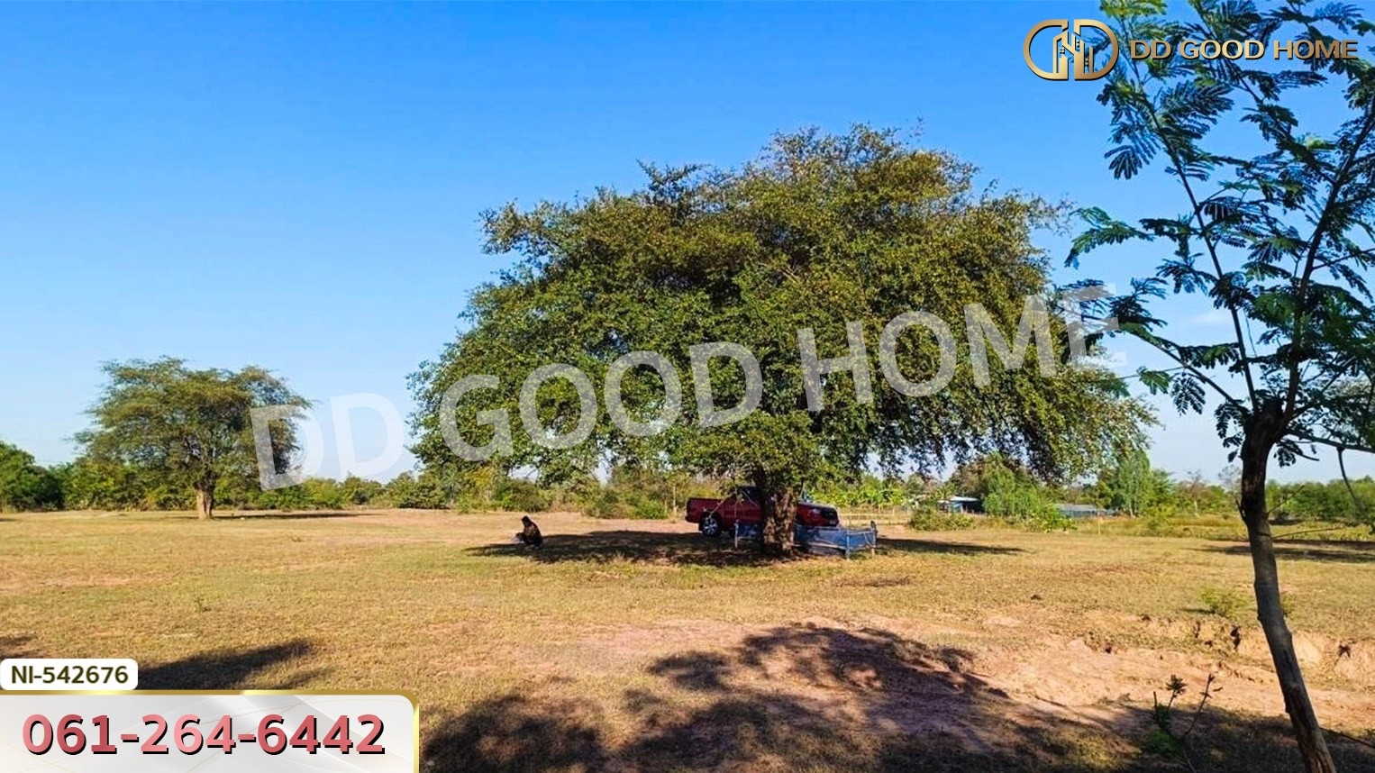 ที่ดิน อ.ประทาย 19 ไร่ 78 ตร.ว. นครราชสีมา