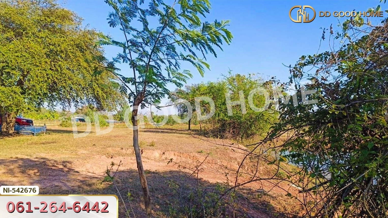 ที่ดิน อ.ประทาย 19 ไร่ 78 ตร.ว. นครราชสีมา