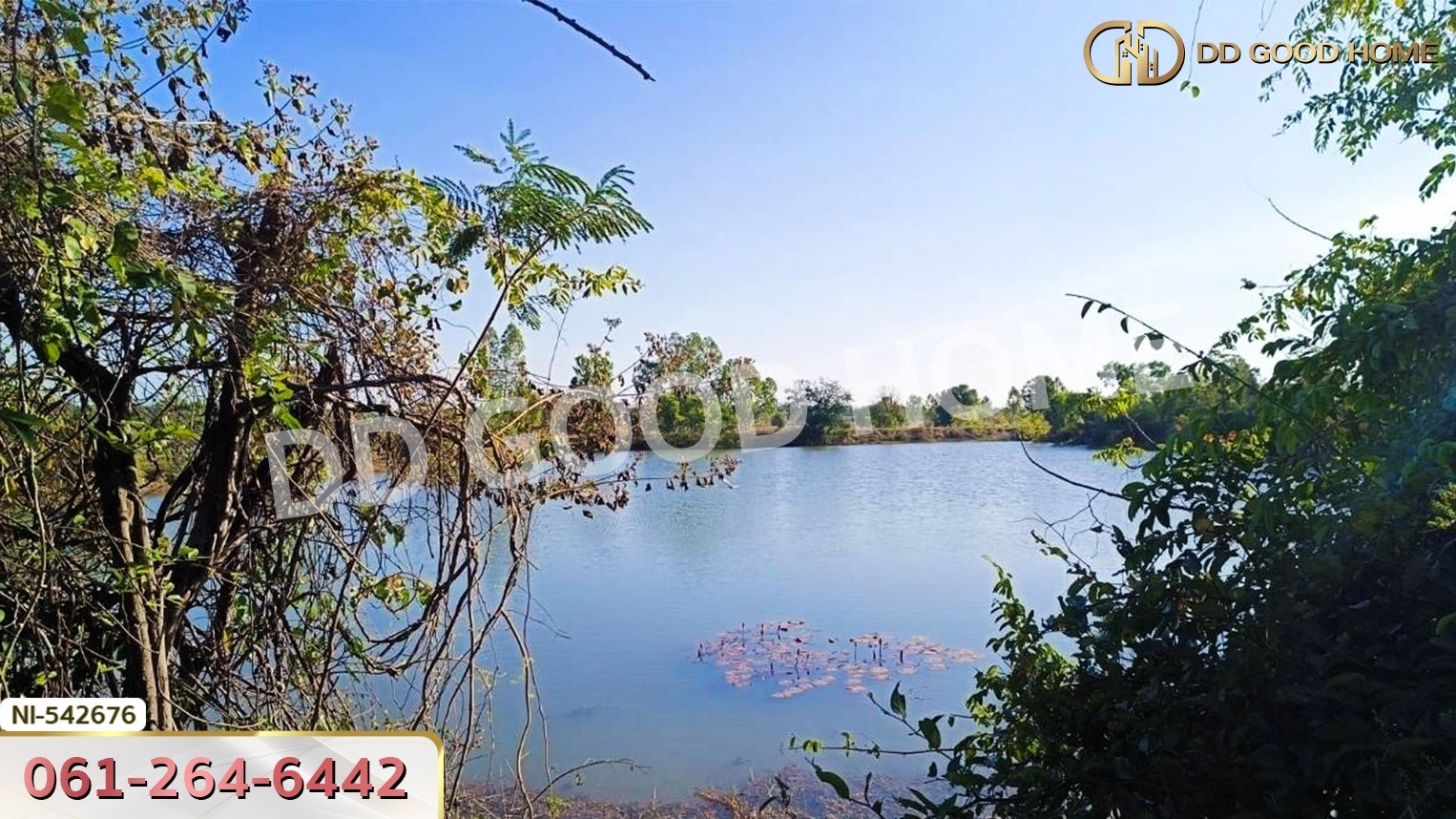 ที่ดิน อ.ประทาย 19 ไร่ 78 ตร.ว. นครราชสีมา