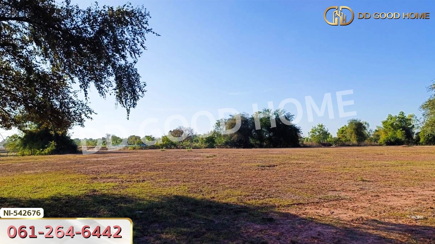 ที่ดิน อ.ประทาย 19 ไร่ 78 ตร.ว. นครราชสีมา