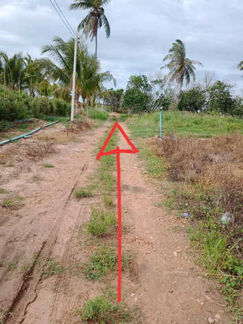 ขายที่ดิน ทำเลดี ตำบลหินเหล็กไฟ อำเภอหัวหิน จังหวัดประจวบคีรีขันธ์ (เจ้าของขายเอง)