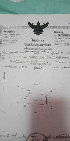 ขายที่ดิน ทำเลดี ตำบลหินเหล็กไฟ อำเภอหัวหิน จังหวัดประจวบคีรีขันธ์ (เจ้าของขายเอง)