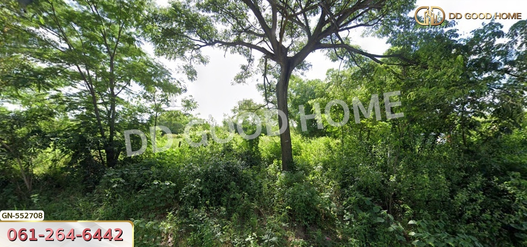 ที่ดิน อ.จัตุรัส 170 ตร.ว. ชัยภูมิ