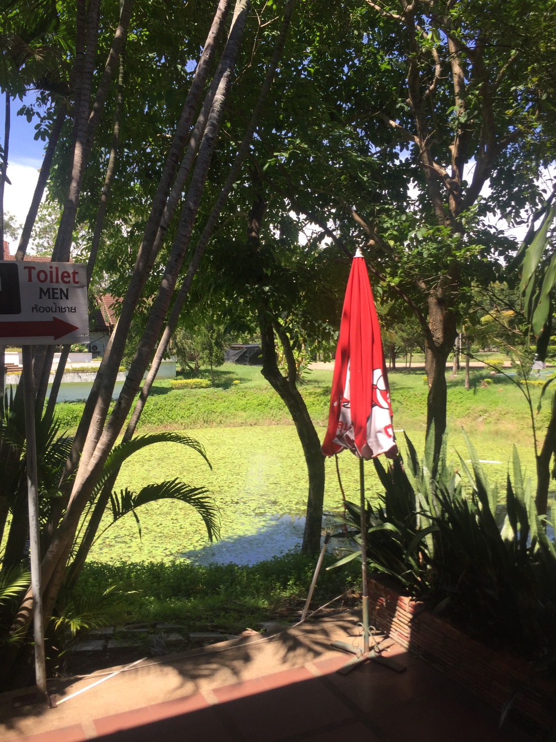 ขายที่ดินจัดสรร พร้อมสิ่งปลูกสร้าง สันกำแพง จ. เชียงใหม่