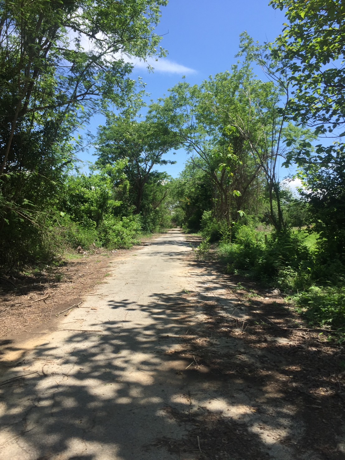 ขายที่ดินจัดสรร พร้อมสิ่งปลูกสร้าง สันกำแพง จ. เชียงใหม่