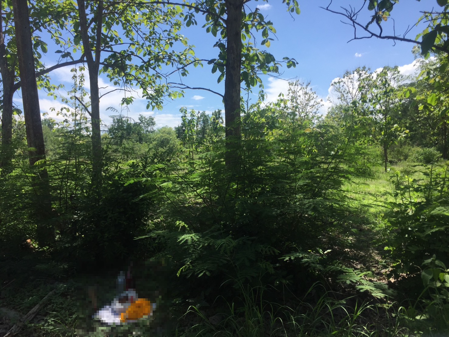 ขายที่ดินจัดสรร พร้อมสิ่งปลูกสร้าง สันกำแพง จ. เชียงใหม่