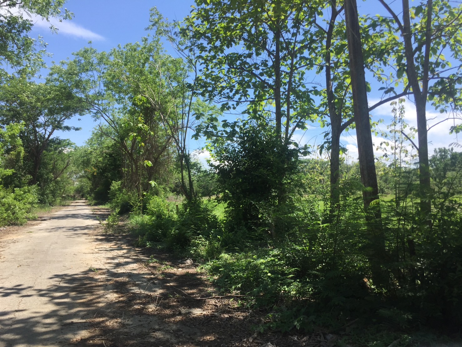 ขายที่ดินจัดสรร พร้อมสิ่งปลูกสร้าง สันกำแพง จ. เชียงใหม่