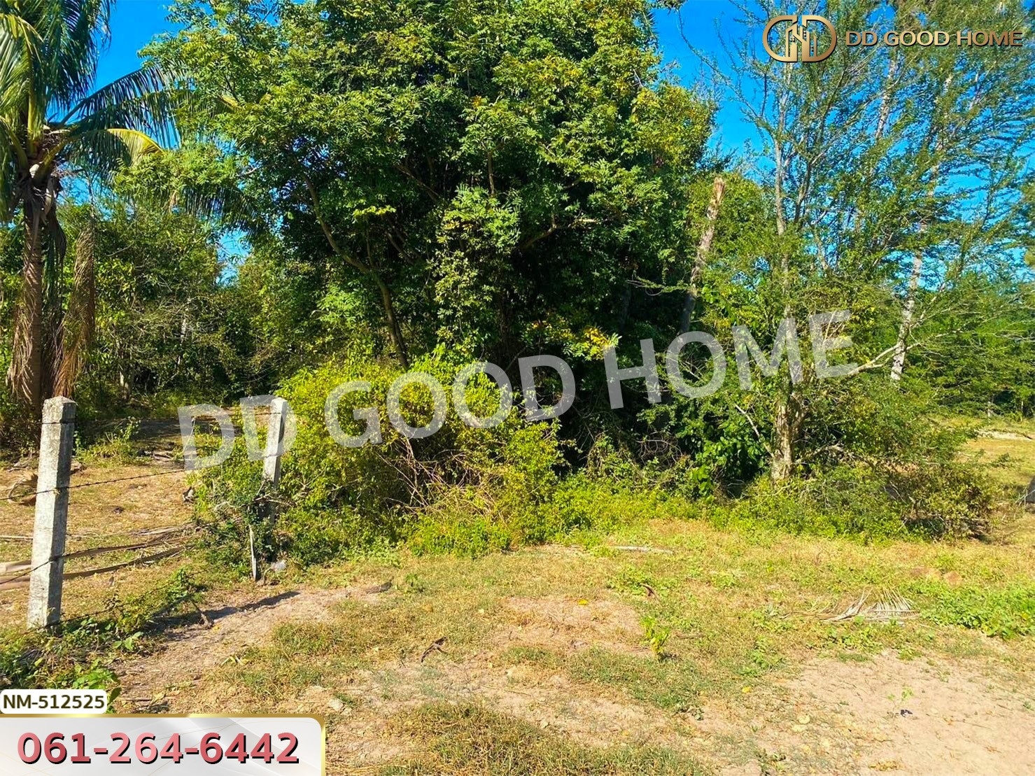 ที่ดิน อ.ทับสะแก 242.3 ตร.ว. ประจวบคีรีขันธ์