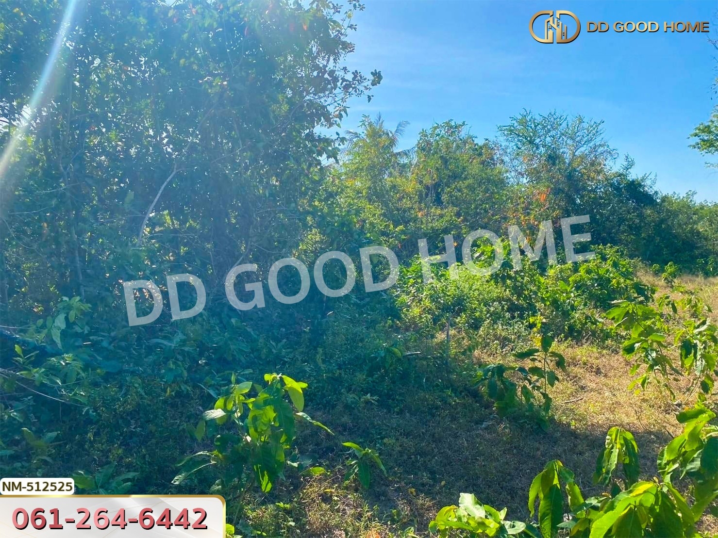 ที่ดิน อ.ทับสะแก 242.3 ตร.ว. ประจวบคีรีขันธ์