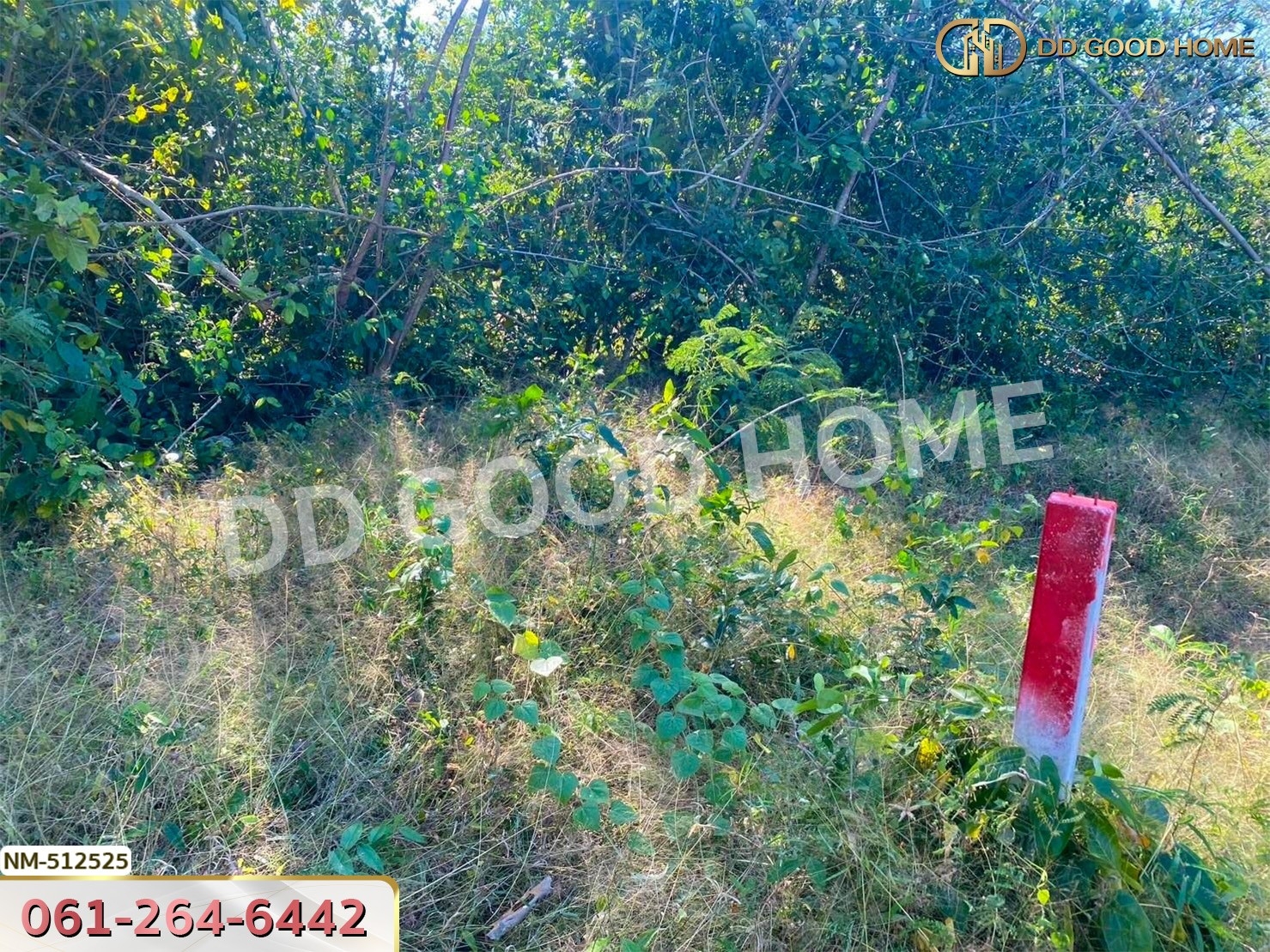 ที่ดิน อ.ทับสะแก 242.3 ตร.ว. ประจวบคีรีขันธ์