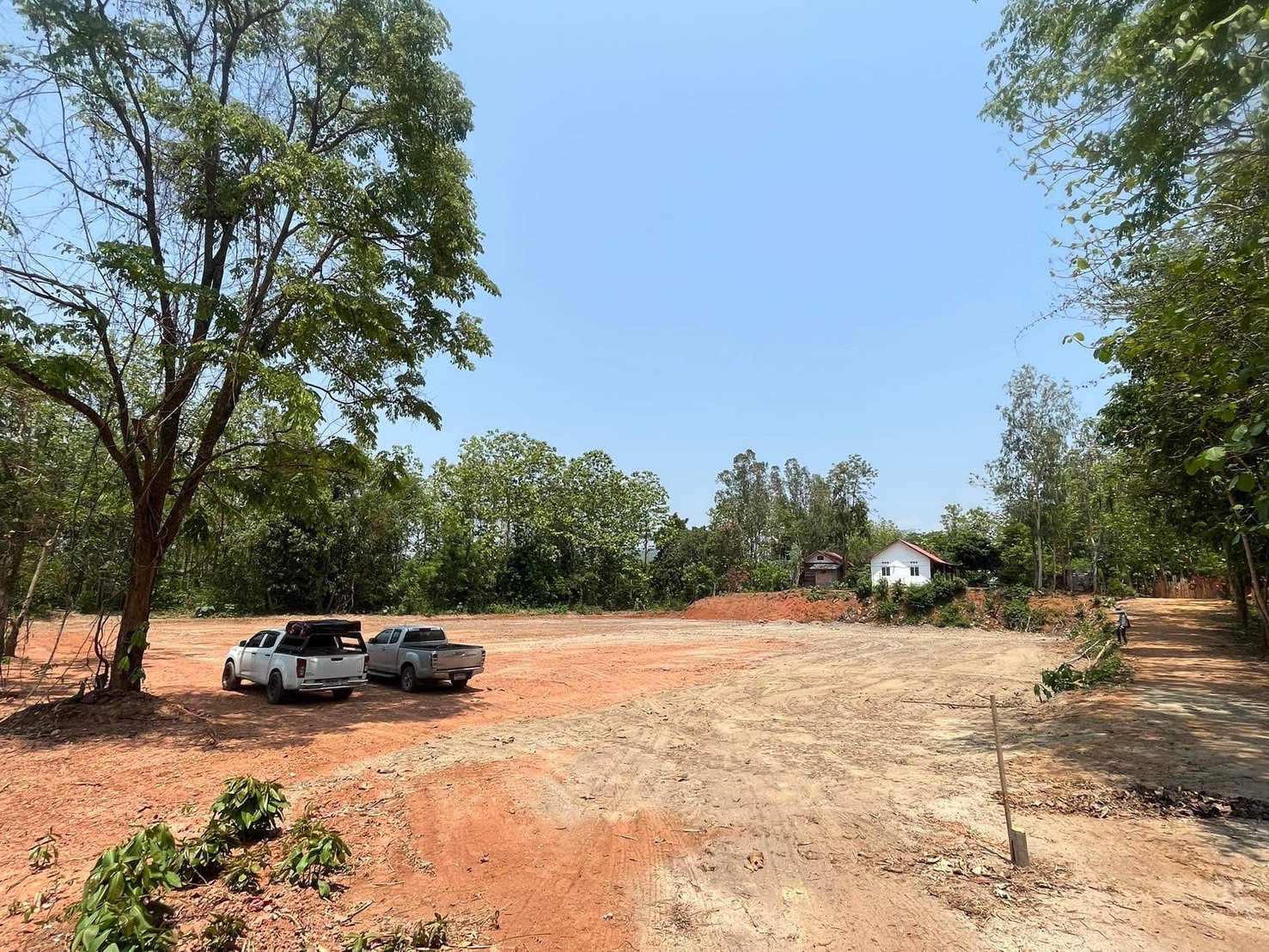 ขายที่ดิน ถมแล้ว 1-3-75 ไร่ เชียงคาน โฉนดพร้อมโอน จ.เลย