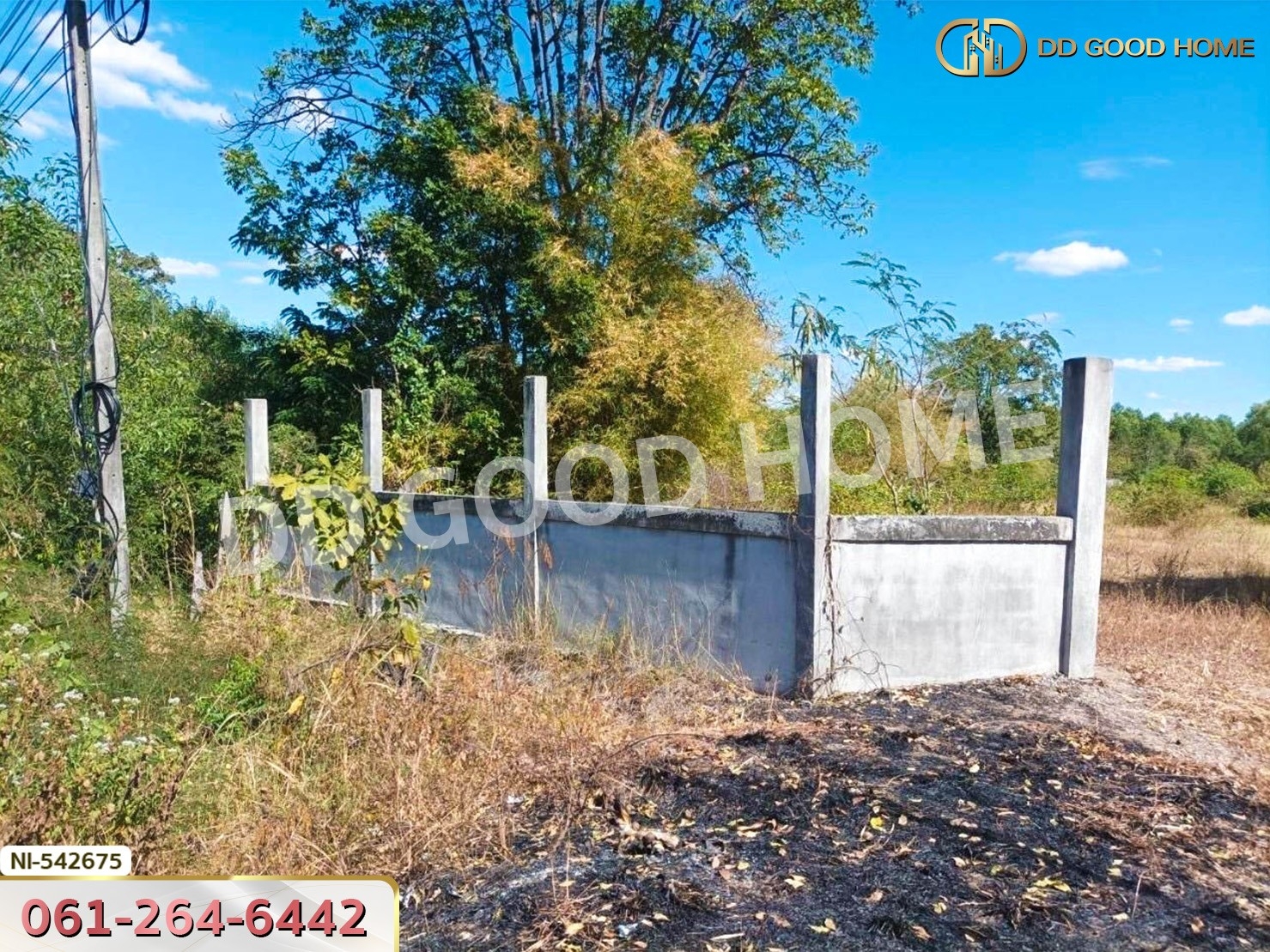 ที่ดิน อ.บัวใหญ่ 5 ไร่ 206 ตร.ว. นครราชสีมา