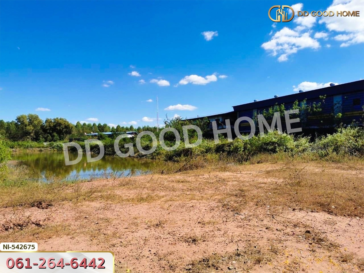 ที่ดิน อ.บัวใหญ่ 5 ไร่ 206 ตร.ว. นครราชสีมา