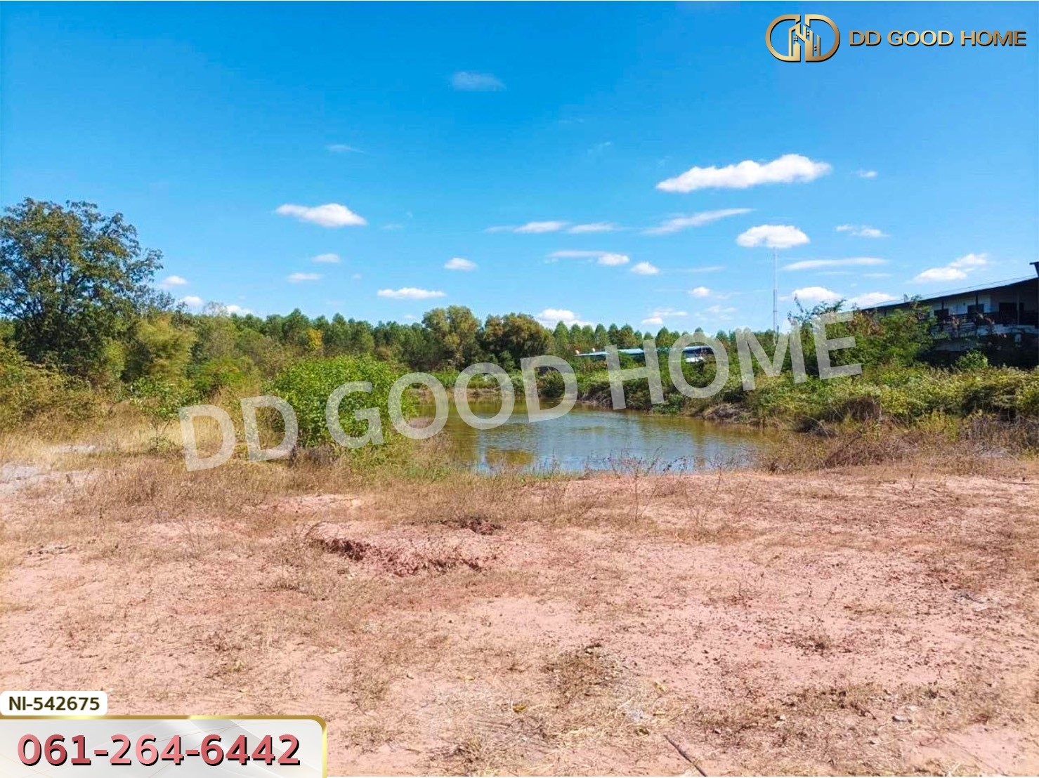 ที่ดิน อ.บัวใหญ่ 5 ไร่ 206 ตร.ว. นครราชสีมา