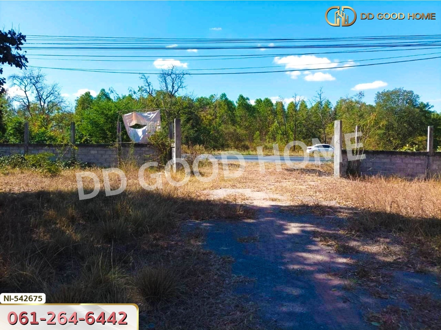 ที่ดิน อ.บัวใหญ่ 5 ไร่ 206 ตร.ว. นครราชสีมา