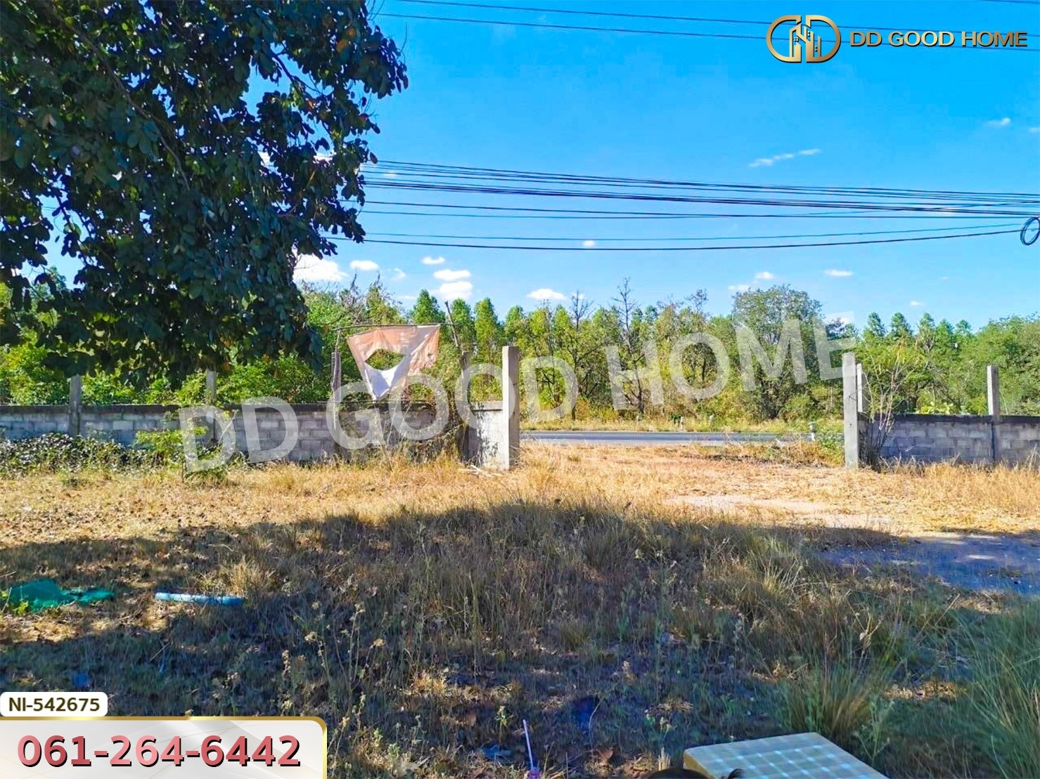 ที่ดิน อ.บัวใหญ่ 5 ไร่ 206 ตร.ว. นครราชสีมา