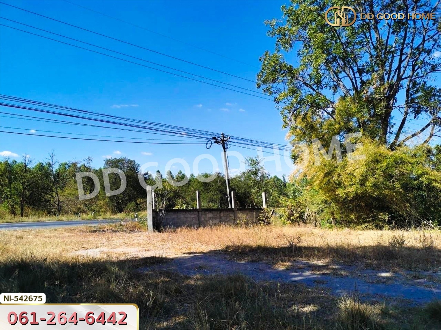 ที่ดิน อ.บัวใหญ่ 5 ไร่ 206 ตร.ว. นครราชสีมา