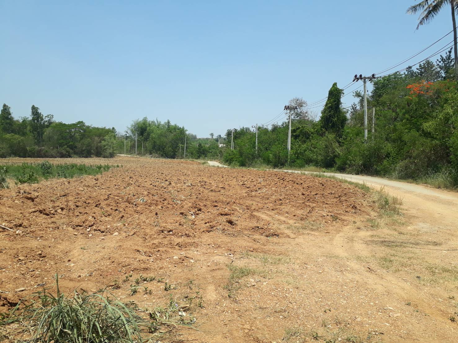 ขายที่ดินแปลงสวย ทำเลดี วิวดีติดเขาใหญ่ (ข้างหลังเป็นภูเขา)ข้างหน้าติดกับถนนใหญ่ เหมาะทำธุรกิจ 