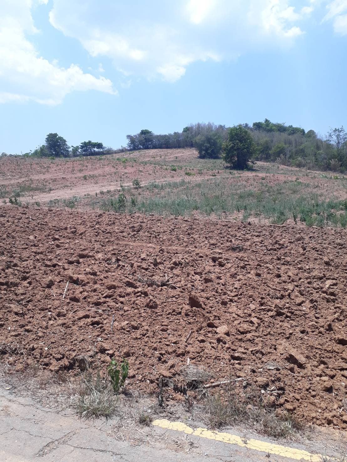 ขายที่ดินแปลงสวย ทำเลดี วิวดีติดเขาใหญ่ (ข้างหลังเป็นภูเขา)ข้างหน้าติดกับถนนใหญ่ เหมาะทำธุรกิจ 