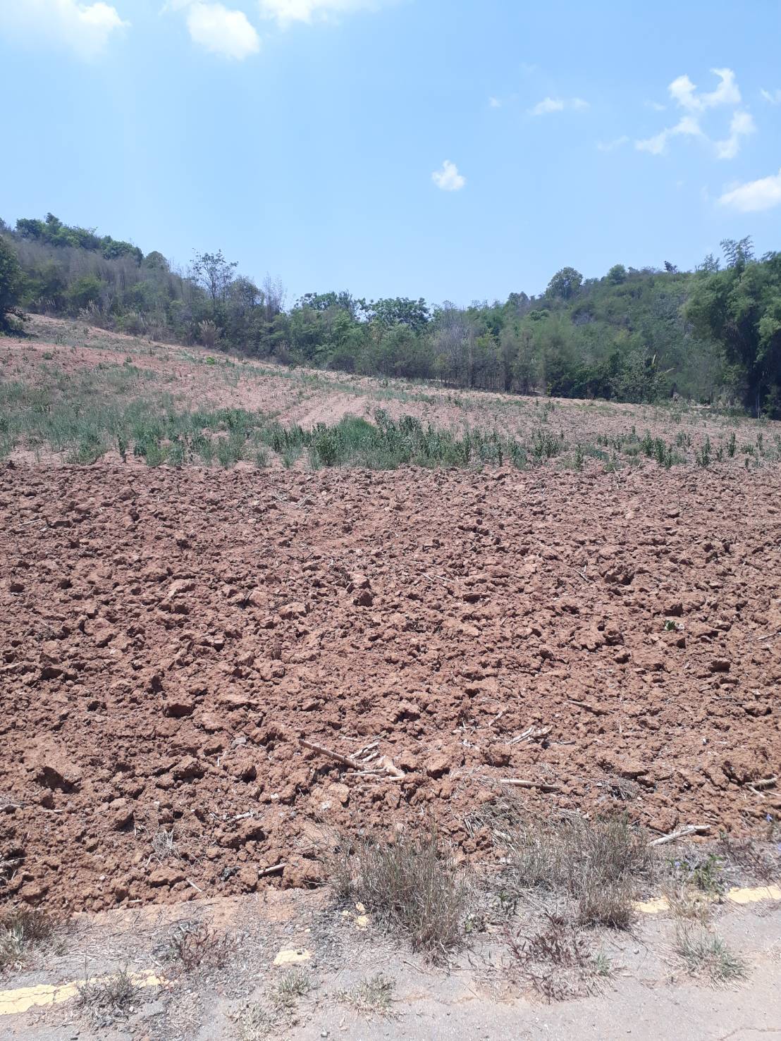 ขายที่ดินแปลงสวย ทำเลดี วิวดีติดเขาใหญ่ (ข้างหลังเป็นภูเขา)ข้างหน้าติดกับถนนใหญ่ เหมาะทำธุรกิจ 