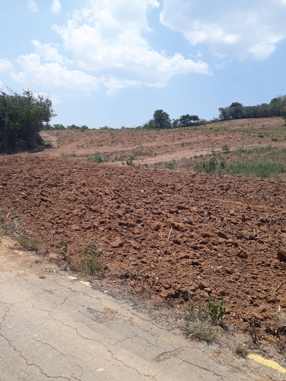 ขายที่ดินแปลงสวย ทำเลดี วิวดีติดเขาใหญ่ (ข้างหลังเป็นภูเขา)ข้างหน้าติดกับถนนใหญ่ เหมาะทำธุรกิจ 