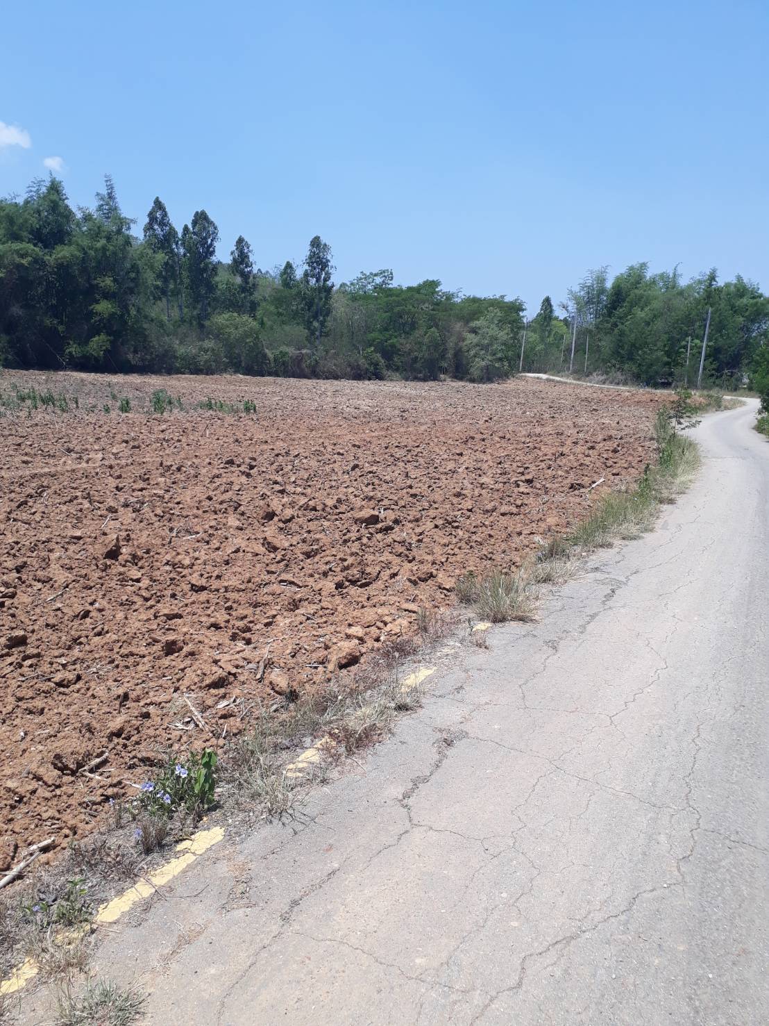 ขายที่ดินแปลงสวย ทำเลดี วิวดีติดเขาใหญ่ (ข้างหลังเป็นภูเขา)ข้างหน้าติดกับถนนใหญ่ เหมาะทำธุรกิจ 