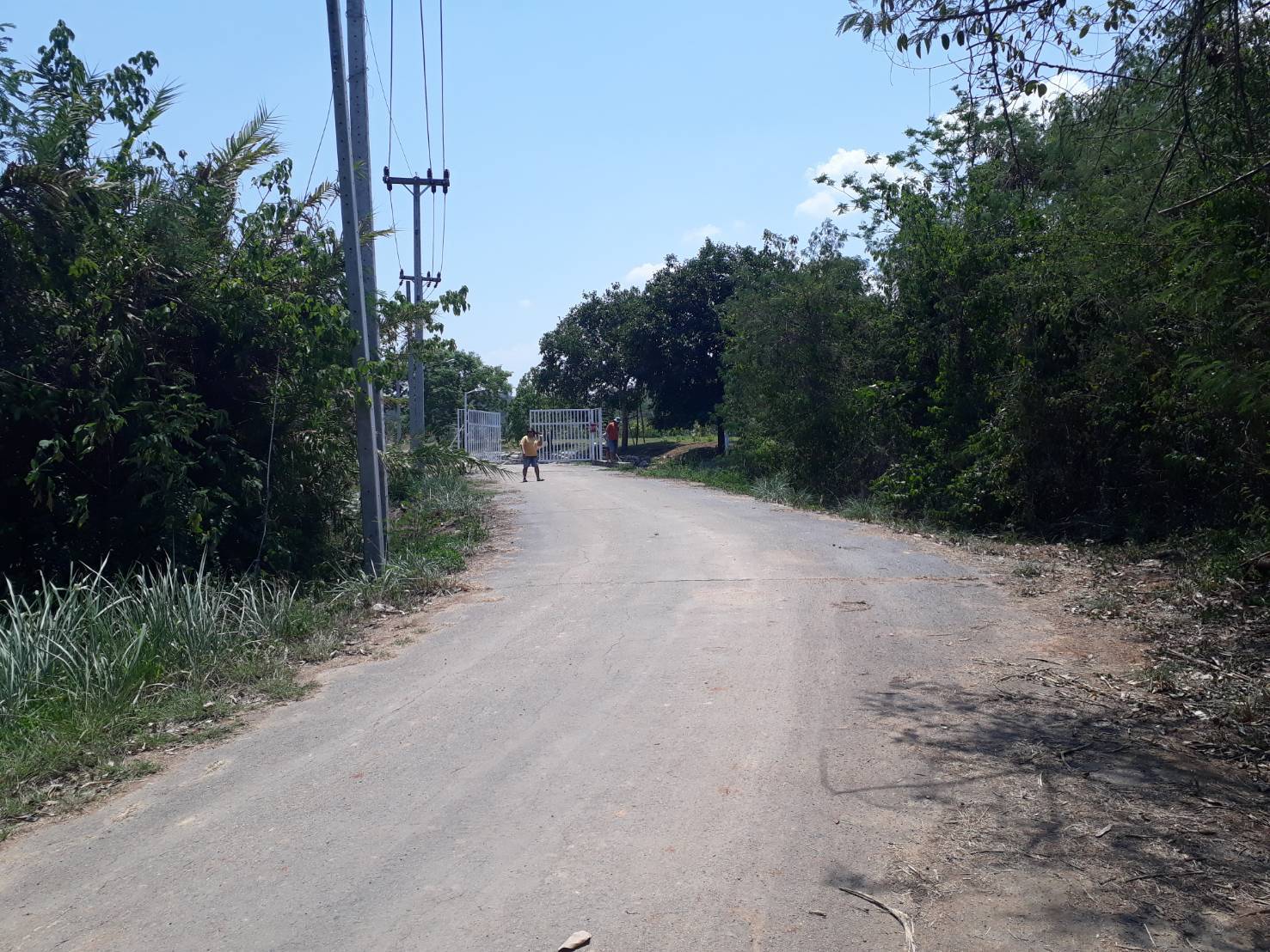 ขายที่ดินแปลงสวย ทำเลดี วิวดีติดเขาใหญ่ (ข้างหลังเป็นภูเขา)ข้างหน้าติดกับถนนใหญ่ เหมาะทำธุรกิจ 