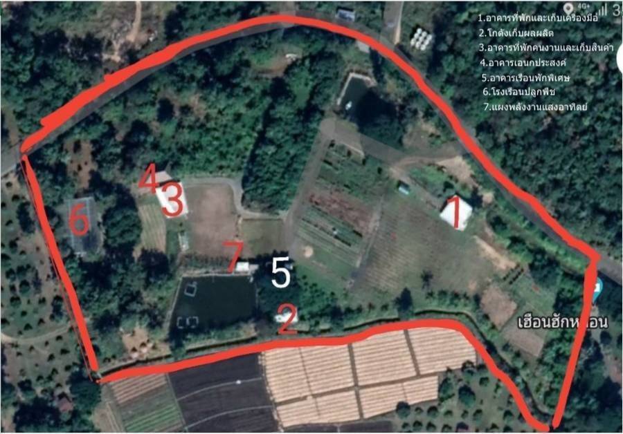 ขายที่ดิน ทำเลดี พร้อมกิจการไร่ผักเกษตรออแกนิค อำเภอดอยสะเก็ด จังหวัดเชียงใหม่ (เจ้าของขายเอง)