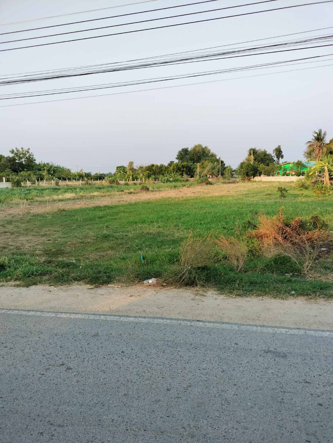  ขายที่ดิน 1 ไร่ 2 งาน 41 ตร.ว. ขาย 1.2 ล้านบาท กำแพงแสน