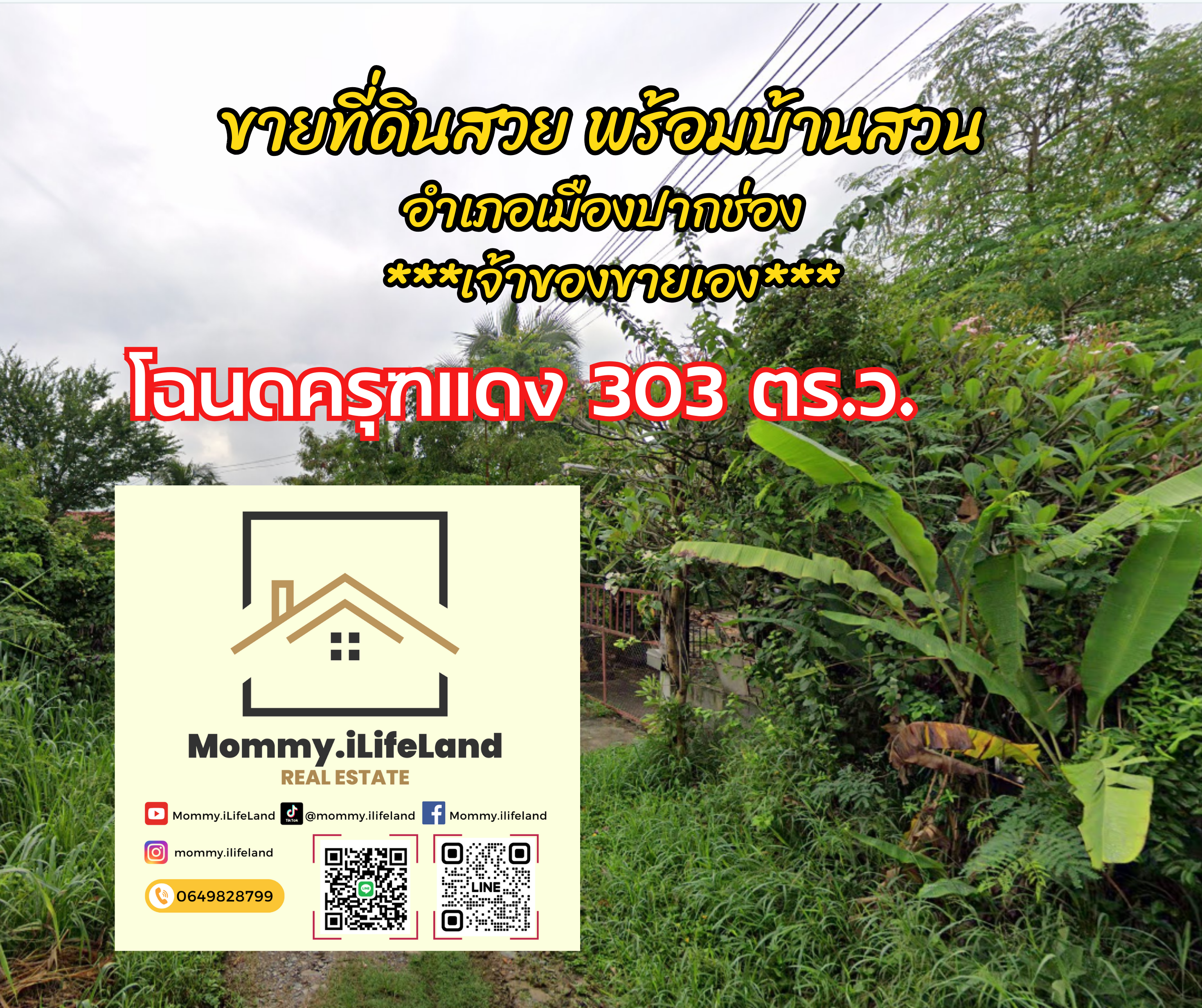 ขายที่ดินแปลงสวย พร้อมบ้านสวน  1 หลัง อ.ปากช่อง โฉนด ครุฑแดง 303 ตร.ว.