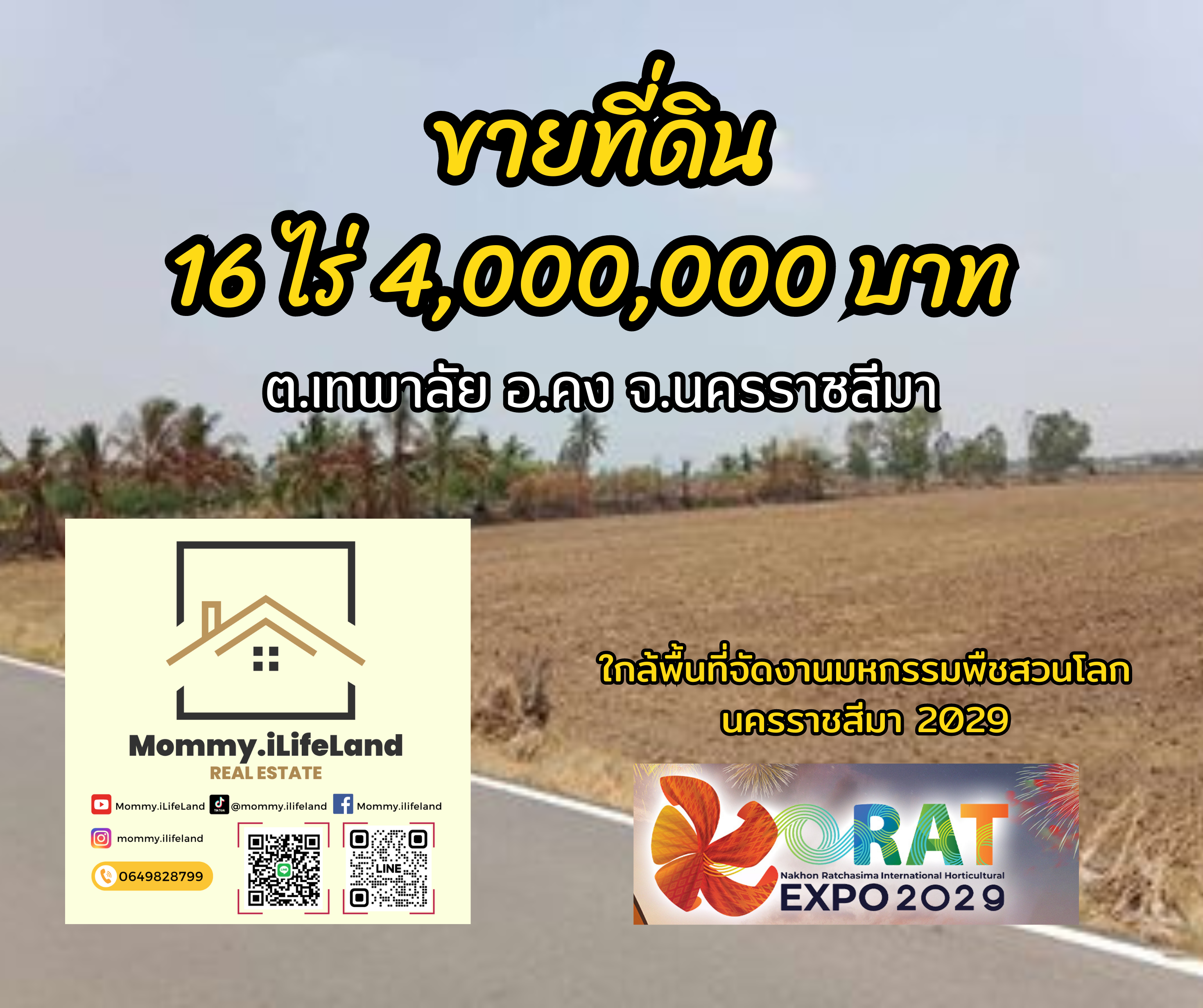ขายที่ดินสวย อ.คง 16 ไร่ 4 ล้าน เจ้าของไม่รีบ แต่ราคานี้ด่วนมาก!! ปล่อยผ่านบอกเลยมีเสียดาย ทำเลรวยตามฮวงจุ้ยยุค 9   