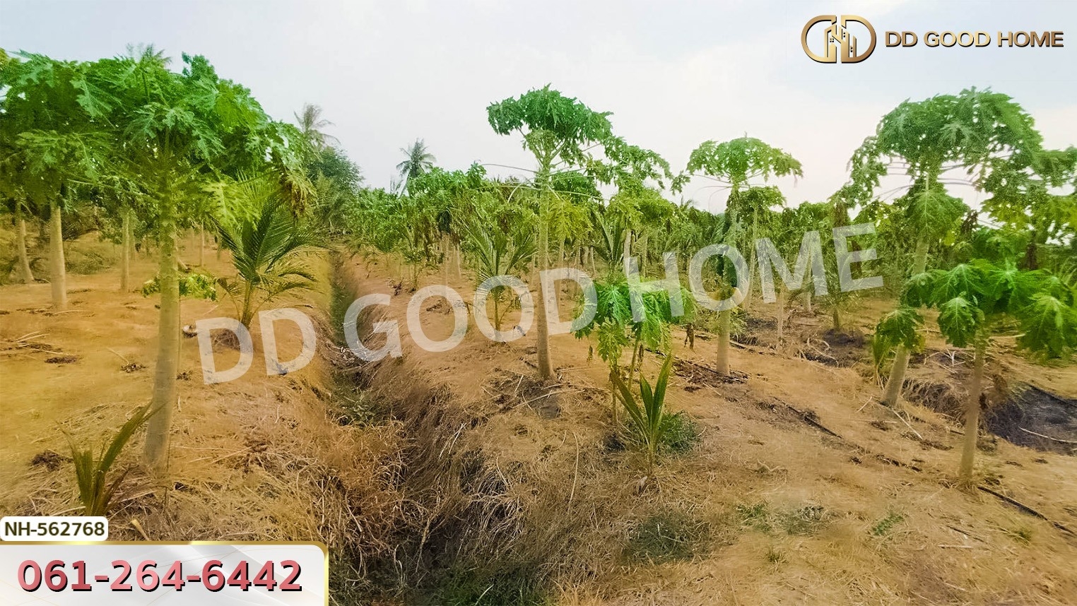 ที่ดิน อ.โพธาราม 1 ไร่ 383.2 ตร.ว. ราชบุรี