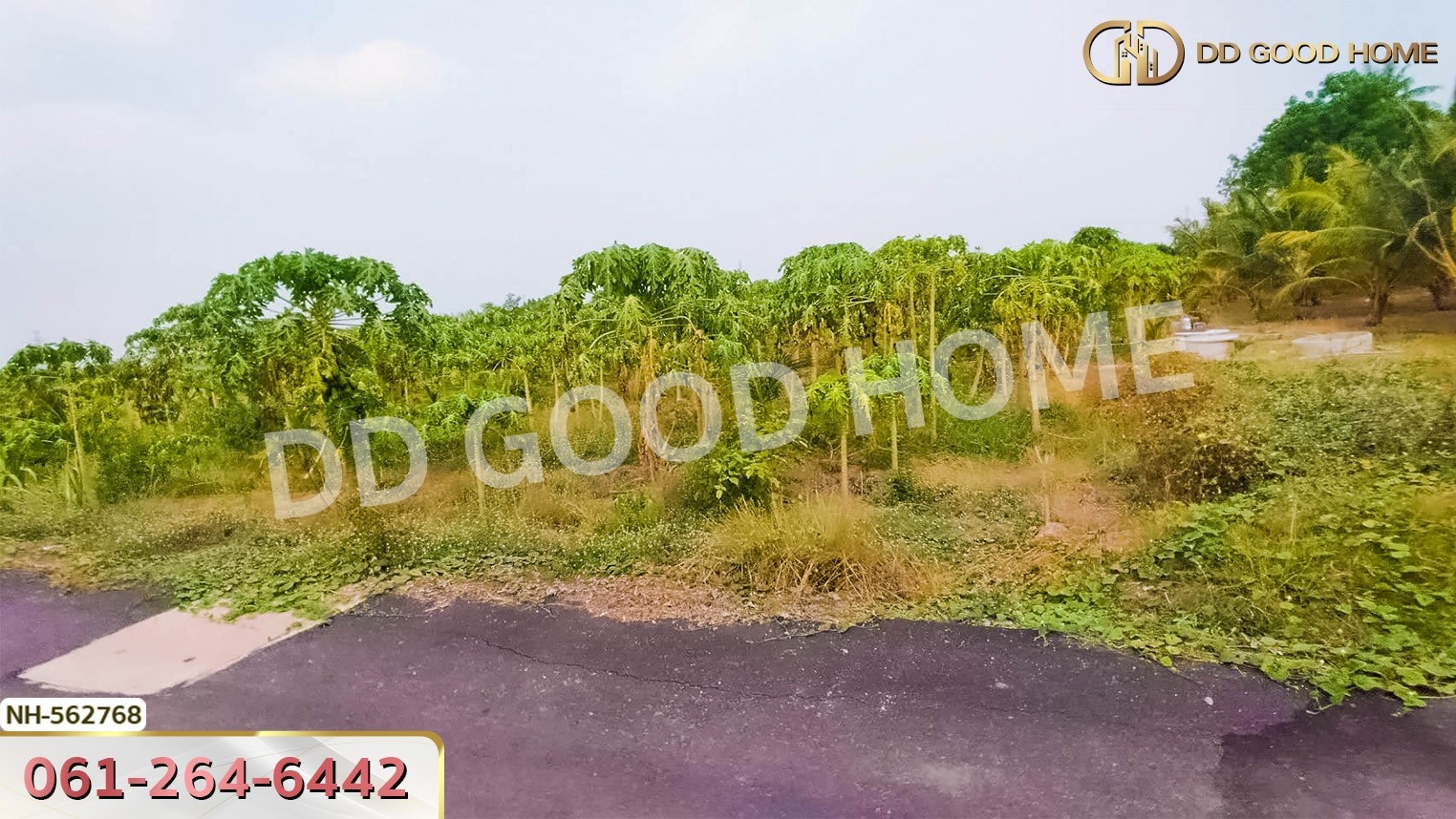 ที่ดิน อ.โพธาราม 1 ไร่ 383.2 ตร.ว. ราชบุรี